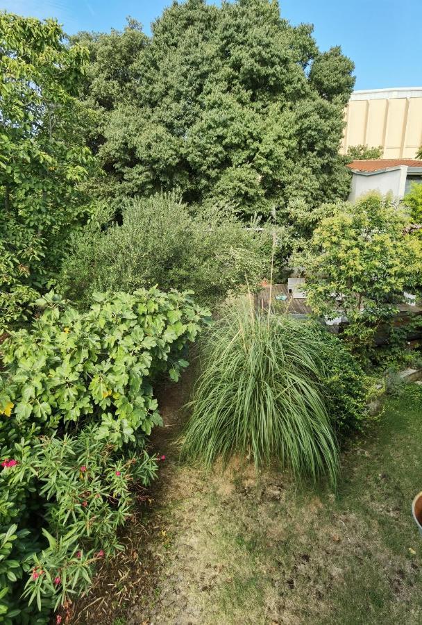 Pine And Lime Apartments بولا المظهر الخارجي الصورة