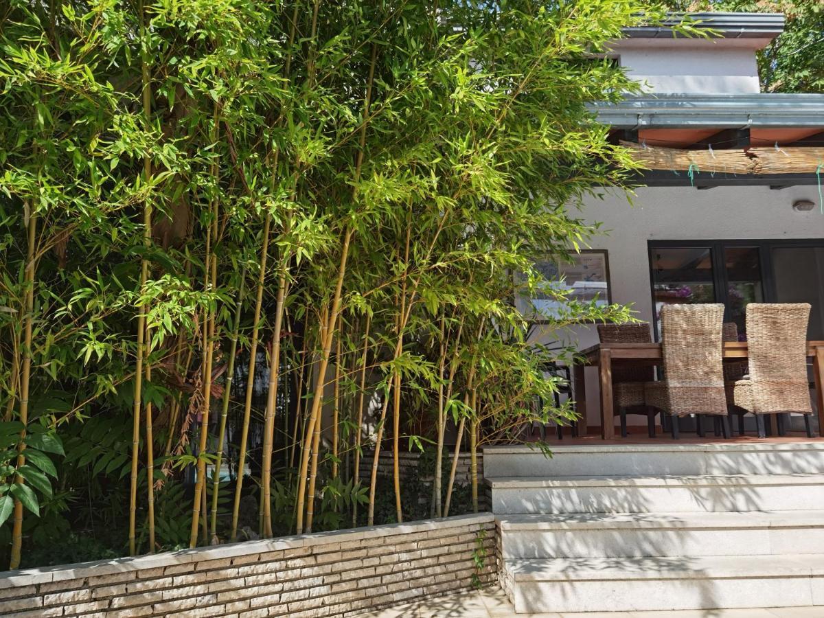 Pine And Lime Apartments بولا المظهر الخارجي الصورة