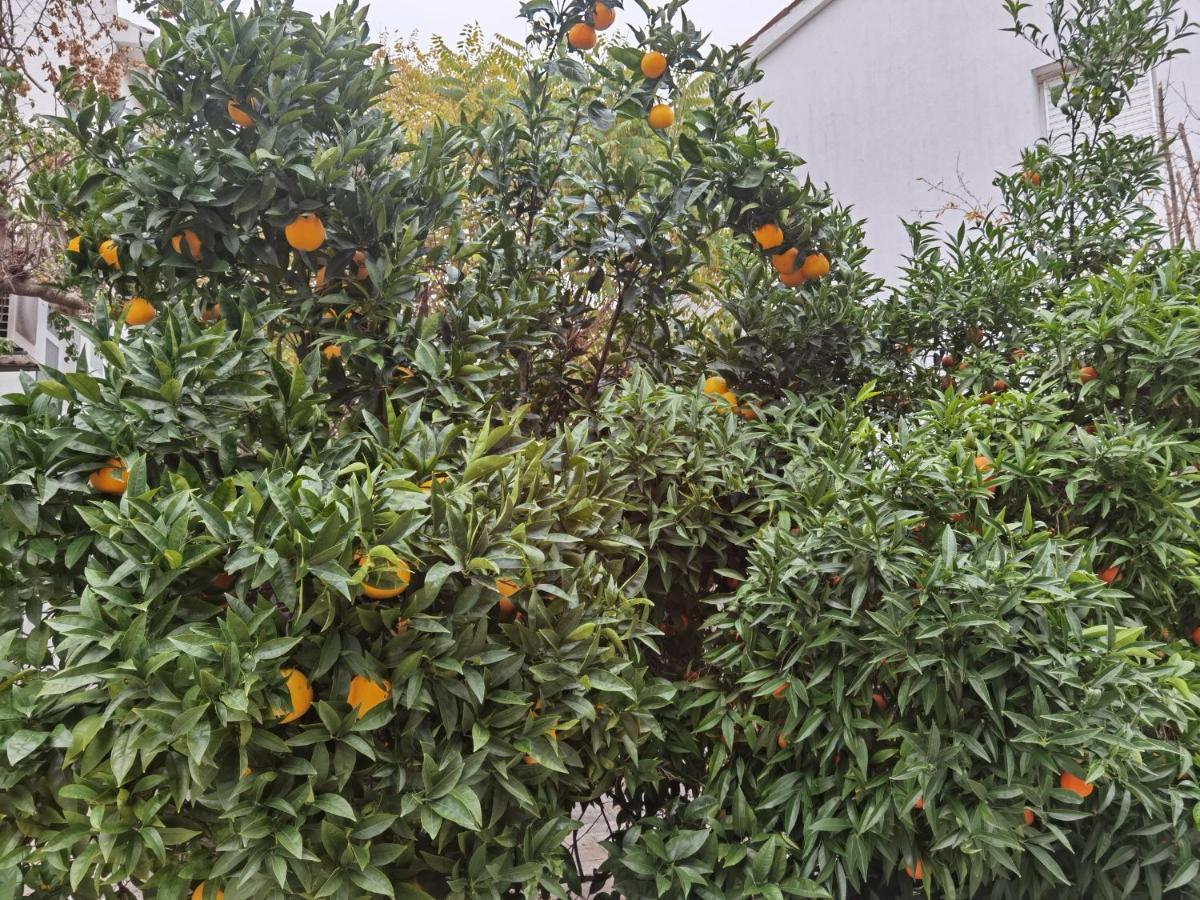 Pine And Lime Apartments بولا المظهر الخارجي الصورة