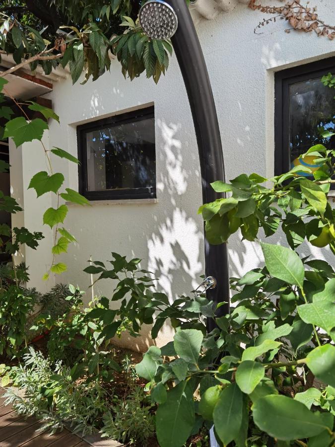 Pine And Lime Apartments بولا المظهر الخارجي الصورة
